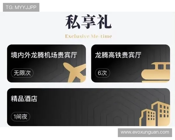 腾龙百家乐VIP尊享服务，尊贵体验带来无限尊荣与豪华礼遇