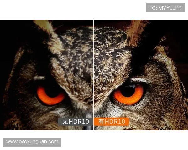 全面解析PA视讯试玩流程，帮助新手快速上手畅玩无限乐趣